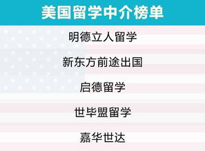 2019年自費(fèi)出國留學(xué)中介服務(wù)市場調(diào)查報(bào)告