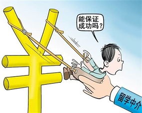 自費(fèi)留學(xué)陷阱多 選中介要看 資格認(rèn)定書